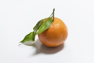 Fresh mandarin with leaf on white background