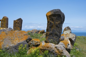 Old tombstones decorated with crosses on a scenic meadow by the sea, khachkars in a cemetery at the