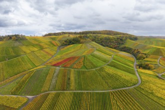 Colourful vineyards and fields in autumn colors under cloudy sky, near StrÃ¼mpfelbach im Remstal,