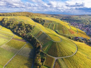 Aerial view of vineyards with winding paths, glowing leaves and cloudy sky, autumn, near