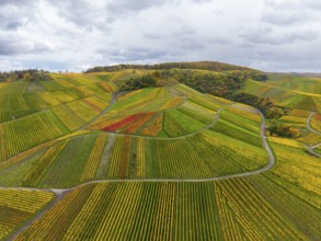 Colourful landscape with vines and clouds in the distance, autumn, near StrÃ¼mpfelbach im Remstal,