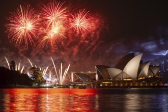 Sydney 2021 Australia Day fireworks in the harbor