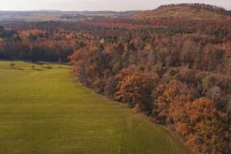 Picturesque mix of vast fields and colorful autumn forest on a gentle hill