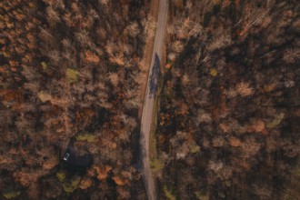A winding road snakes through a varied autumn forest