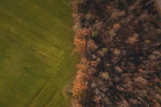 Aerial view of colorful autumn forest bordering an open field