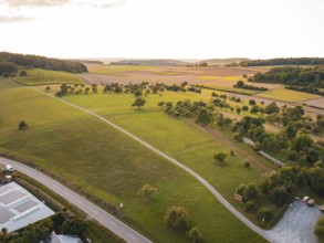 Wide landscape with fields and trees in the soft light of sunset