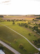 Wide hilly landscape with fields and isolated trees at sunset