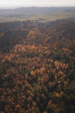 Autumn forest with a sea of colorful foliage and rolling hills in the background