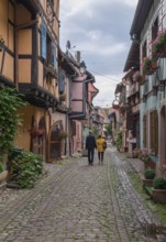 A narrow alley lined with traditional houses with plants and red flowers, Eguisheim, Plus Beaux
