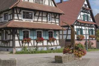 Half-timbered houses in the street village of Hohwiller, in German Hohweiler, Alsace, France