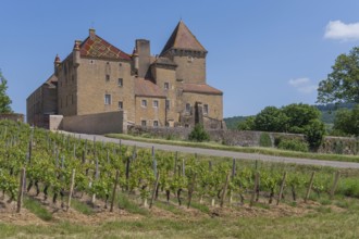 ChÃ¢teau de Pierreclos is a Romanesque castle complex in the French commune of Pierreclos in the