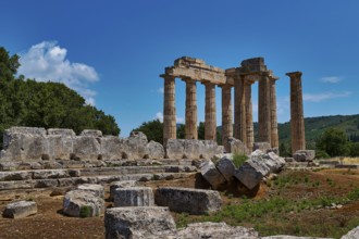 Majestic ancient ruins of a temple with numerous columns and scattered stones, Ancient Sanctuary of