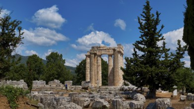 Ancient ruins of a temple surrounded by pine trees and bright blue sky, Ancient Sanctuary of Zeus,