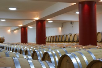 Wine cellar with wooden barrels and red pillar, large number of lights on the ceiling, Papaioannou