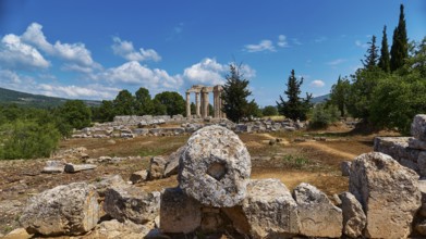 Ancient temple columns in an open field with surrounding trees and mountains in the background,