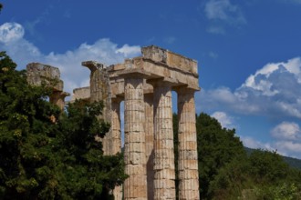 Detailed view of ancient temple columns against a wooded background with blue sky, Ancient Zeus