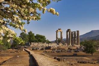 Ancient temple columns with blooming trees and mountains in the background under clear sky, Ancient