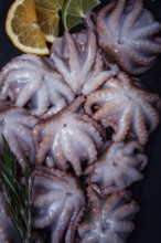 Fresh baby octopus, on black slate, with lemon and greenery, top view, no people