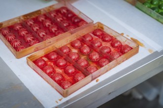 Two trays with red balls are illuminated in a mold, Weihnachtsbacken, Haselstaller Hof, Wildberg,