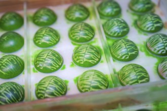Green chocolates with decorative pattern in a transparent form, Christmas baking, Haselstaller Hof,