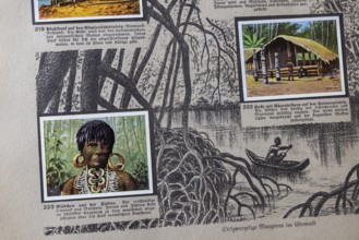 German colonies. Solomon and Admiralty Islands. Girls from the South Seas. Caption: The rich