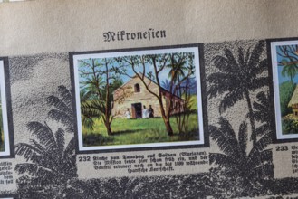 German colonies. Micronesia. An anthology published by Cigaretten-Bilderdienst Dresden from 1936.