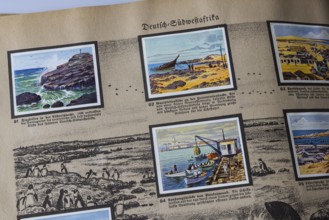 German colonies. German Southwest Africa. Hottentott Bay. An anthology published by