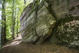 Hiking trail and rocks, Mont Sainte-Odile Abbey, Ottrott, Bas-Rhin Department, Alsace, France