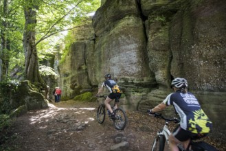 Mountain bikers and rocks, Mont Sainte-Odile Abbey, Ottrott, Bas-Rhin Department, Alsace, France