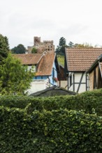 ChÃ¢teau Kintzheim timbered houses and castle, Kintzheim, Bas-Rhin department, Alsace, France
