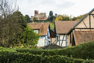 ChÃ¢teau Kintzheim timbered houses and castle, Kintzheim, Bas-Rhin department, Alsace, France