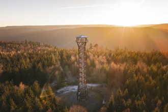 An observation tower stands in an autumnal forest at sunrise, Hohe Warte lookout tower, Hohenwart,