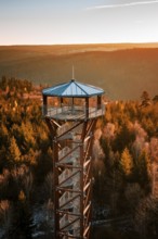 Close-up of observation tower over autumn-colored forest at sunrise, Hohe Warte observation tower,