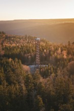 A tower towers over the misty, autumnal forests in the morning light, Hohe Warte observation tower,