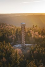 Slender observation tower rises above autumnal forest in evening light, Hohe Warte observation