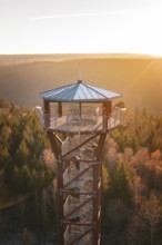 Upper part of the observation tower in warm evening light, surrounded by an autumnal forest, Hohe