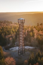Tower rises above autumn tree landscape, illuminated by warm sunset, Hohe Warte observation tower,