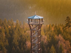 Observation tower surrounded by autumn trees in the soft light of sunset, Hohe Warte observation