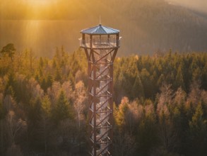 Sun illuminates a tall observation tower in the dense autumn forest, Hohe Warte observation tower,