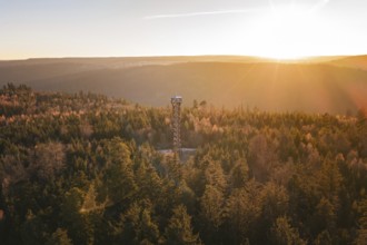 An observation tower is located in the dense, autumnal forest at sunrise, Hohe Warte observation