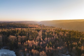 Sun-lit forest stretches to the horizon at dawn, Hohe Warte Observation Tower, Hohenwart,