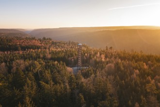 A vast forest landscape with a central observation tower at sunset, Hohe Warte observation tower,
