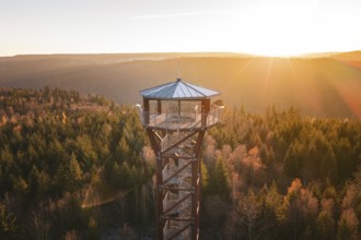 Upper part of an observation tower juts out of the surrounding forest in the light of sunset, Hohe