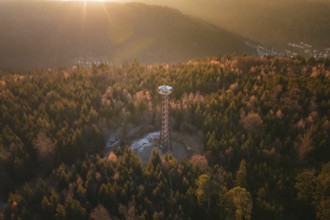 Observation tower at dusk, nestled in autumnal forests on a hill, Hohe Warte observation tower,