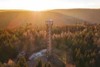 A high observation tower overlooks the autumnal forest at sunrise, Hohe Warte observation tower,
