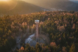 A high observation tower stands in the middle of a forest with autumn trees, Hohe Warte observation