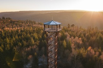 An observation tower rises above an autumnal forest under a sunset, Hohe Warte observation tower,