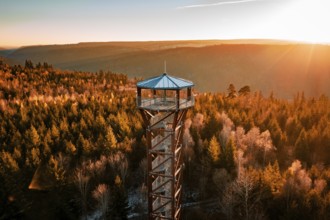 Observation tower stands in front of a wonderful panoramic view of autumnal forest in sunlight,