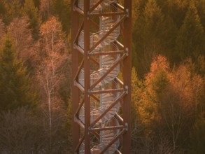 Detailed view of an observation tower from below with autumn surroundings, Hohe Warte observation