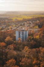Block of flats surrounded by autumnal forest and fields close to the city in soft light,